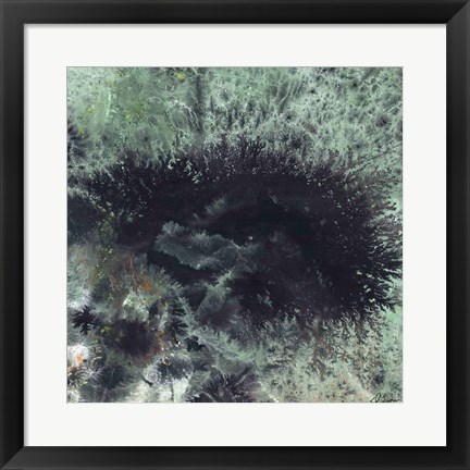 Framed Coral &amp; Jelly Fish I Print