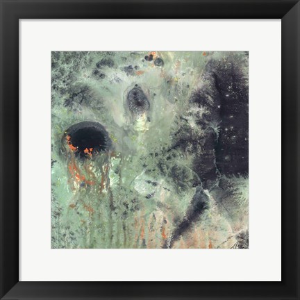 Framed Coral &amp; Jelly Fish II Print