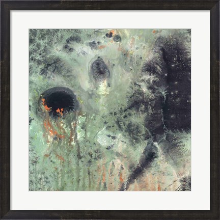 Framed Coral &amp; Jelly Fish II Print