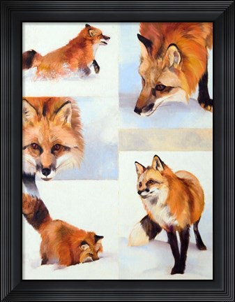 Framed Vulpes V Print
