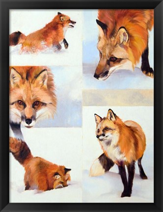 Framed Vulpes V Print