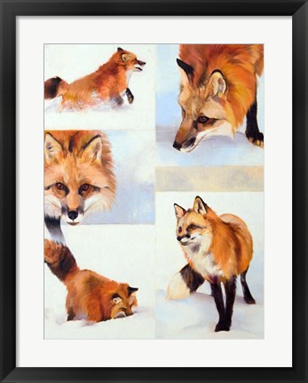 Framed Vulpes V Print