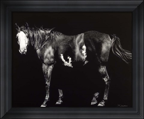 Framed Bald-Faced Broodmare Print