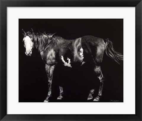 Framed Bald-Faced Broodmare Print