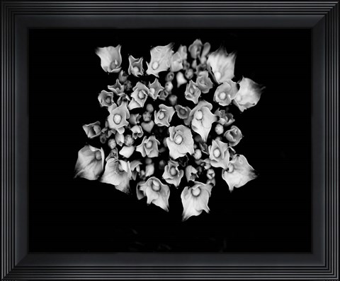 Framed Poetry III Print
