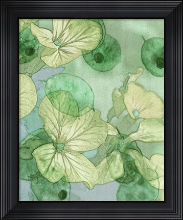 Framed Mint Progeny III Print