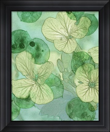 Framed Mint Progeny IV Print