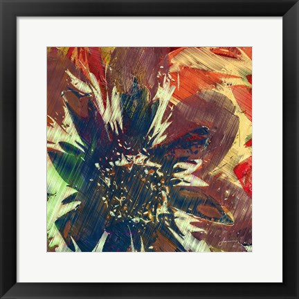 Framed Floragraph V Print