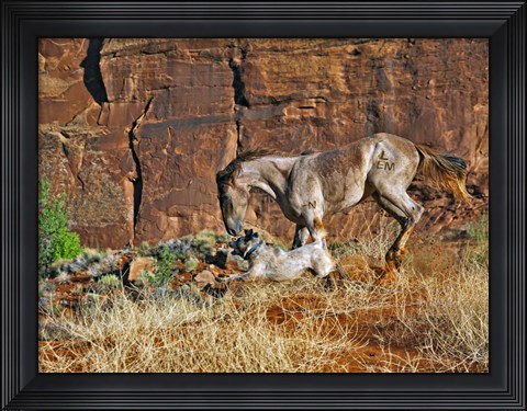 Framed Running Horses I Print