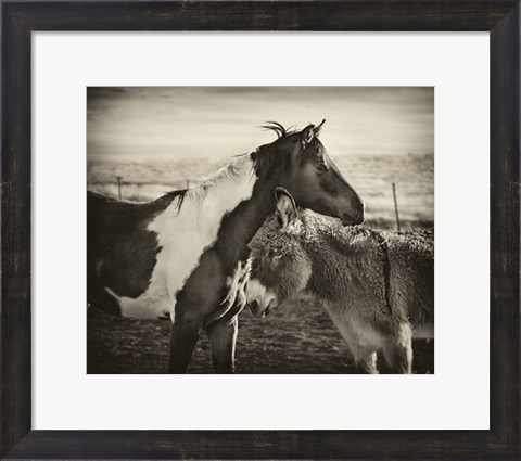 Framed Kissing Horses II Print