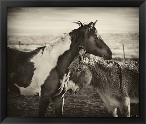 Framed Kissing Horses II Print