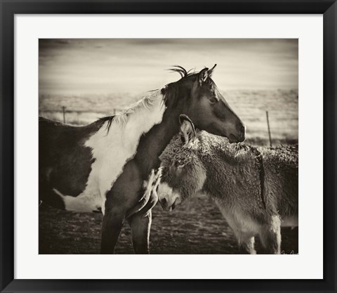 Framed Kissing Horses II Print