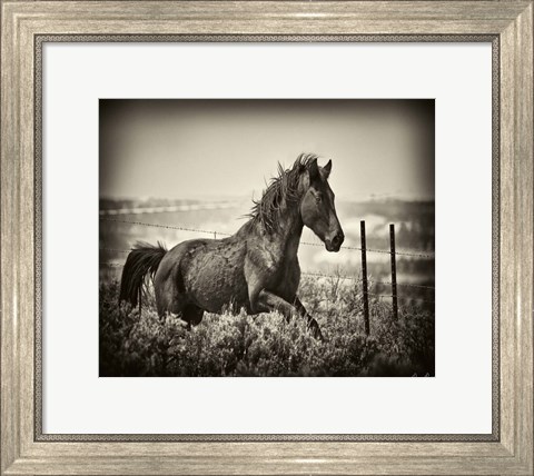 Framed Running Horse Print