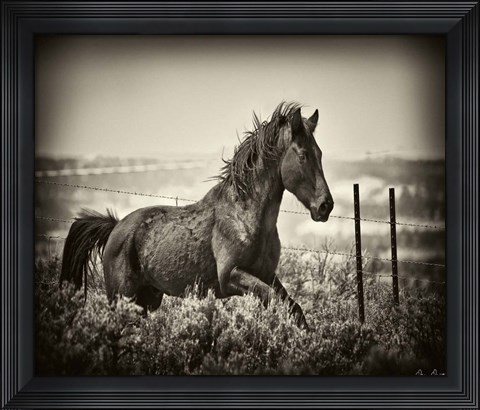 Framed Running Horse Print