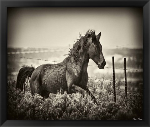 Framed Running Horse Print