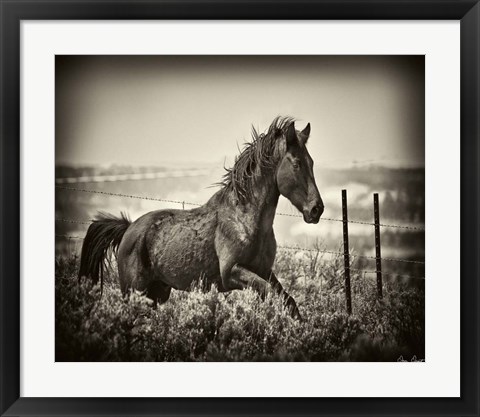 Framed Running Horse Print