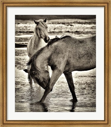 Framed Beach Horses I Print