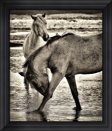 Framed Beach Horses I Print