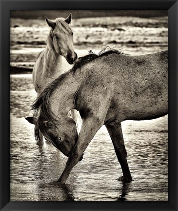 Framed Beach Horses I Print