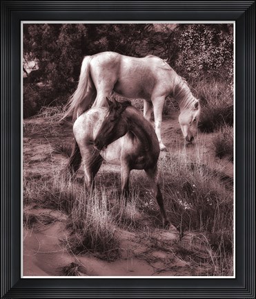 Framed Beach Horses II Print