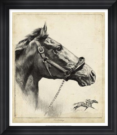 Framed Whirlaway Print