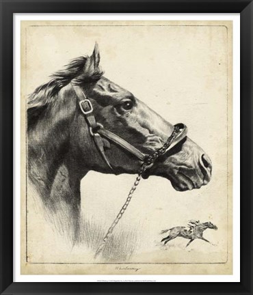 Framed Whirlaway Print