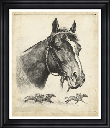 Framed Gallant Fox Print