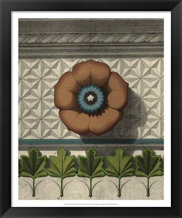 Framed Floral Detail II Print