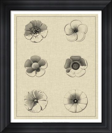 Framed Floral Rosette I Print