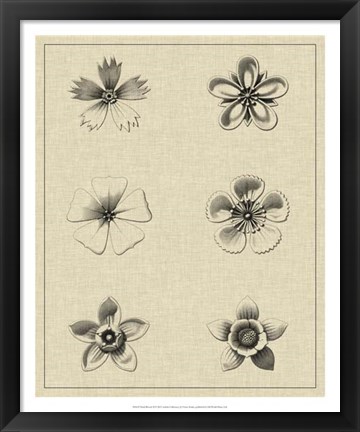 Framed Floral Rosette II Print