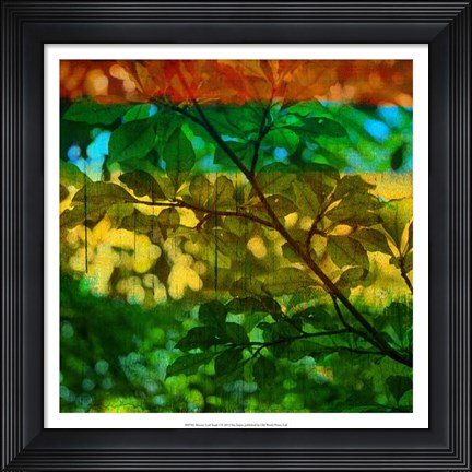 Framed Abstract Leaf Study I Print