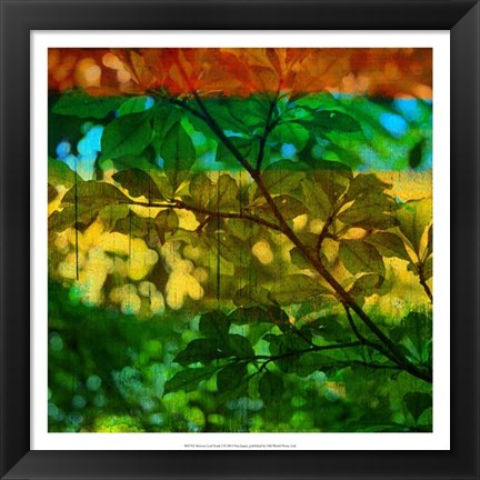 Framed Abstract Leaf Study I Print