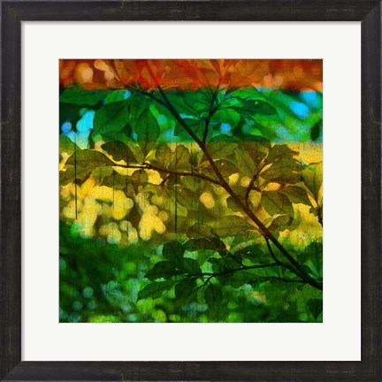 Framed Abstract Leaf Study I Print