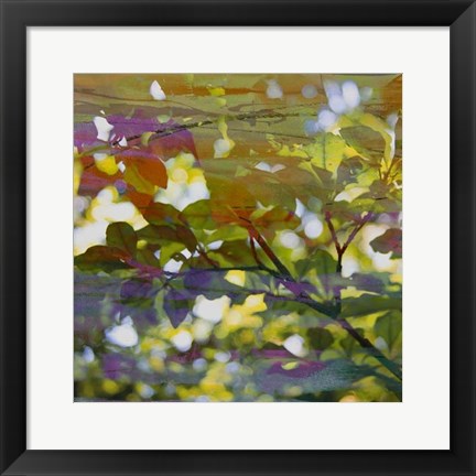 Framed Abstract Leaf Study II Print