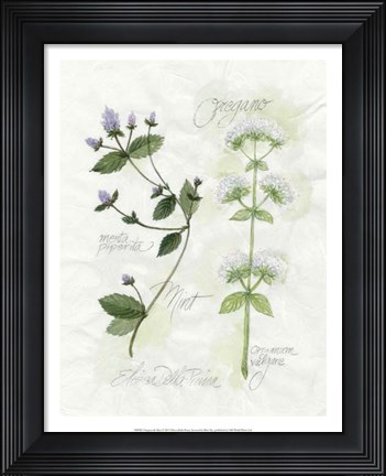 Framed Oregano &amp; Mint Print