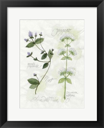 Framed Oregano &amp; Mint Print