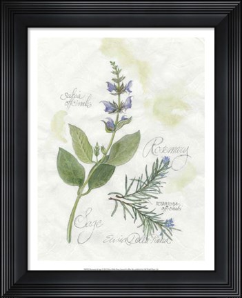 Framed Rosemary &amp; Sage Print