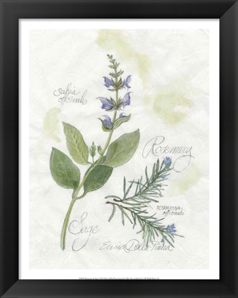 Framed Rosemary &amp; Sage Print