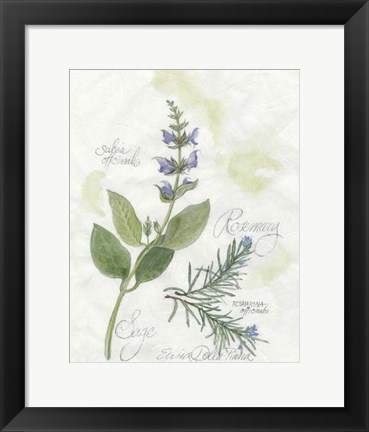 Framed Rosemary &amp; Sage Print