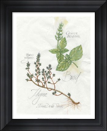 Framed Basil &amp; Thyme Print