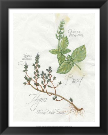 Framed Basil &amp; Thyme Print