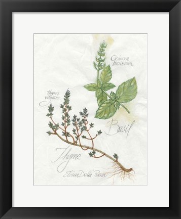 Framed Basil &amp; Thyme Print