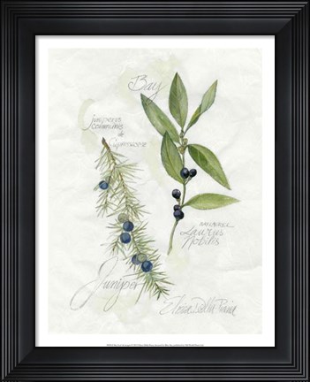 Framed Bay Leaf &amp; Juniper Print