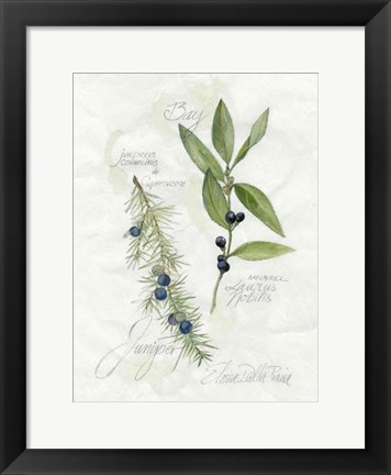 Framed Bay Leaf &amp; Juniper Print