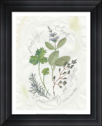 Framed Parsley &amp; Sage Print