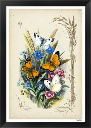 Framed Victorian Butterfly Garden I Print