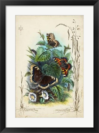 Framed Victorian Butterfly Garden IV Print