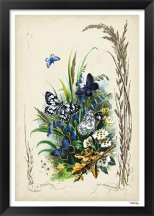 Framed Victorian Butterfly Garden VIII Print