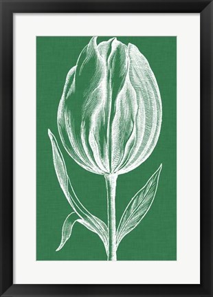 Framed Chromatic Tulips II Print