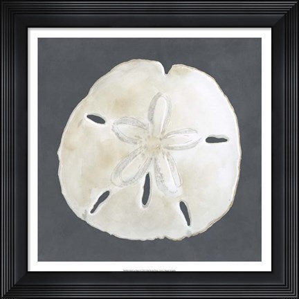 Framed Shell on Slate II Print